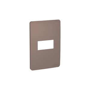 Placa 4X2 Para 1 Módulo S730101264 Planet Brown Orion Schneider