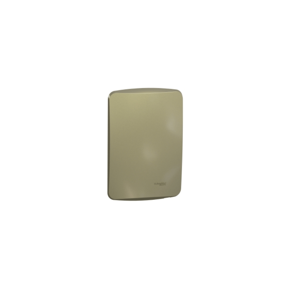 Placa 4X2 Cega Com Suporte Miluz S3B77103 Dourado Schneider