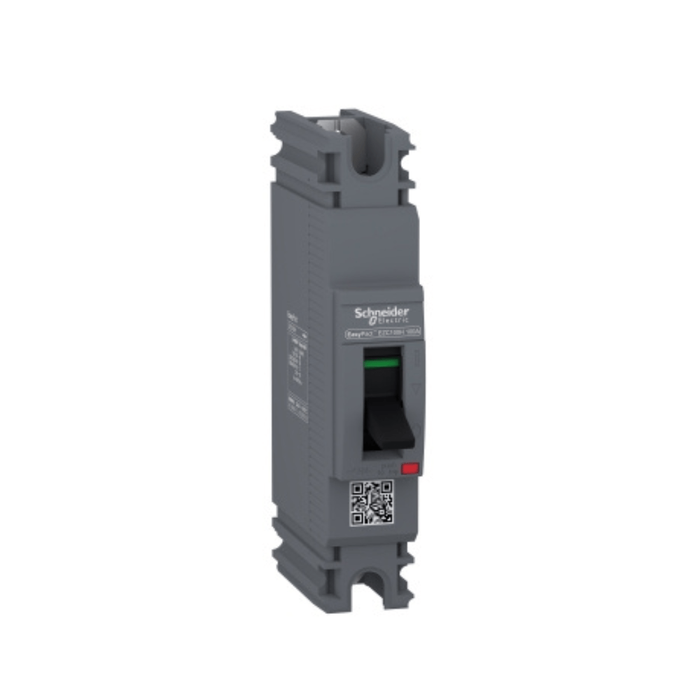 Disjuntor 1P 100A 25KA 240V EZC100H1100 Schneider