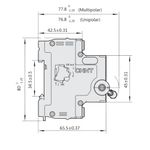 Design-sem-nome--43-